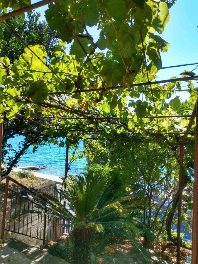 Olive Tree Apartments Tivat Exterior foto