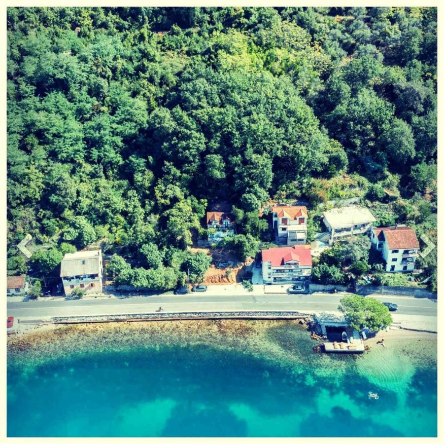 Olive Tree Apartments Tivat Exterior foto