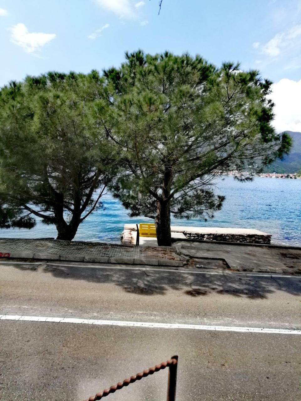 Olive Tree Apartments Tivat Exterior foto